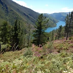 DSCN1440