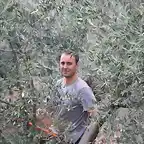 022, en la oliva