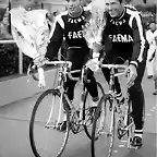 FAEMA,MERCKX,MOTTA.