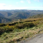 DSCN9145