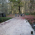 DSCN9157