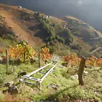 DSCN4462