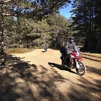 81