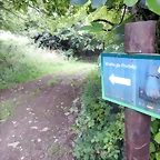 DSCN4576