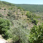 P1070203