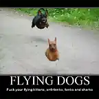 406-flying-dogs-fuck-your-flying-kittens-tanks-and-sharks