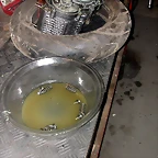 DSCN3550