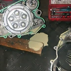 DSCN3536