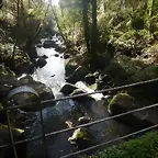 DSCN4445