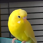 20181014_161725
