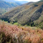 DSCN0110