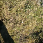 DSCN2258