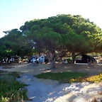 DSC03236