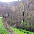 DSCN6288