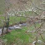 DSCN6291