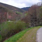 DSCN6295