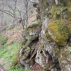 DSCN6335