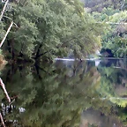 DSCN5300
