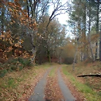 DSCN9369