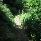 PICT0123