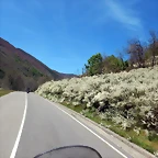 DSCN1001