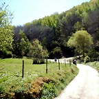 DSCN4513