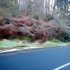 DSCN2652