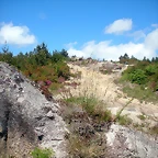 DSCN5327