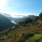 DSCN4487