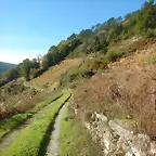 DSCN4486