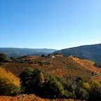 DSCN0876