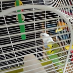 IMG_20200415_131842