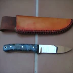 alamo rizado