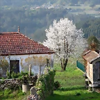 64-IMG_5629