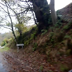 DSCN2917