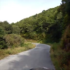 DSCN4367