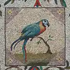 14318565-mosaic-of-parrot-on-the-walls-of-the-nympheum-of-the-Casina-Pio-IV-Vatican-gardens-Vatican-City-Euro-Stock-Photo
