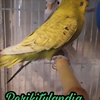 FB_IMG_1498407319767