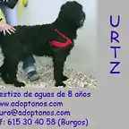 URTZ Burgos