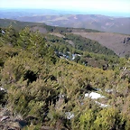 DSCN7967