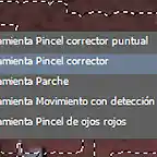 Pincel corrector 10