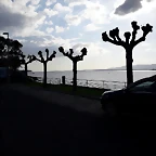 IMG-20180502-WA0010