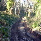 DSCN7730