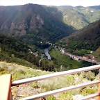DSCN7731