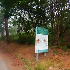 DSCN6077