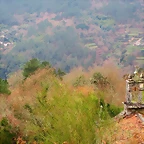 47-IMG_4557