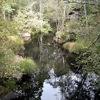 DSCN8992