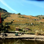 DSCN1576