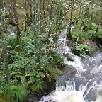 DSCN5789