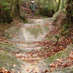 Zona banyeres